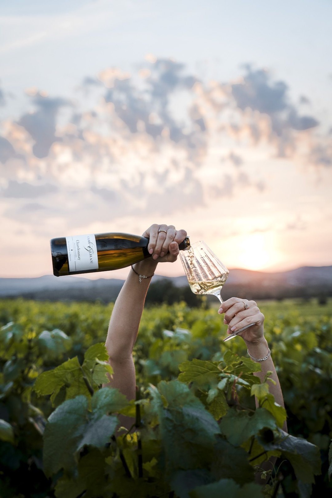 Chardonnay au couchant