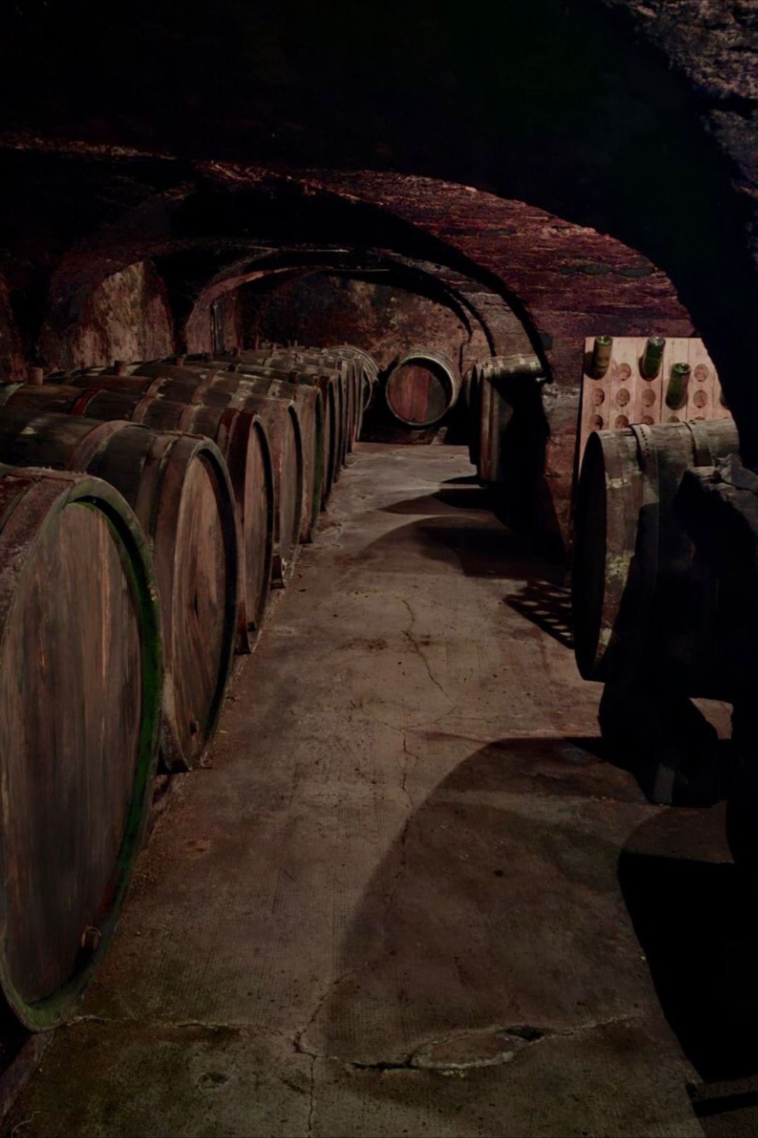 La cave voûtée